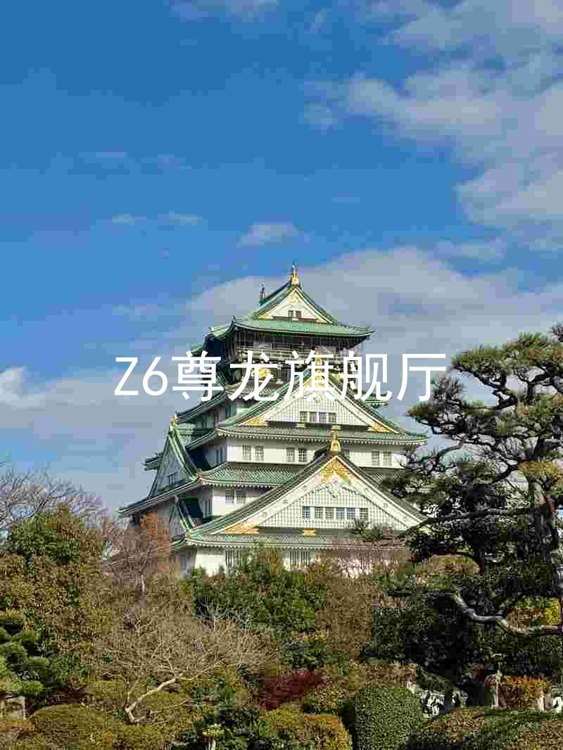 Z6尊龙旗舰厅